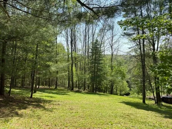$99,000 | 0 Gold Coast Road, Bridgewater, VT 05034