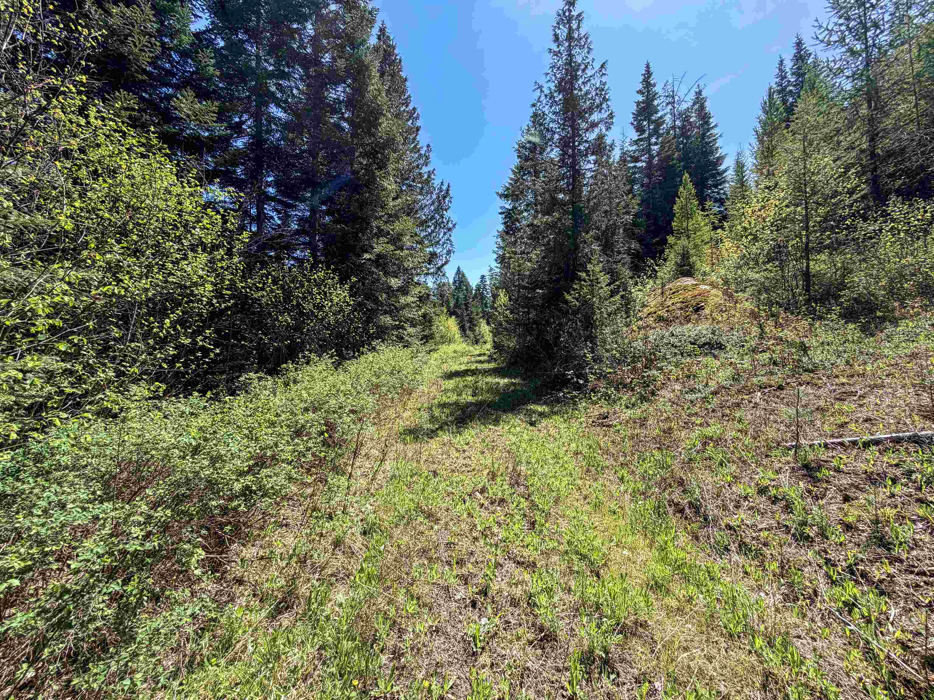 3499-tbd Waitts Lk S Road Valley, WA 99181 - Photo 12 of 32
