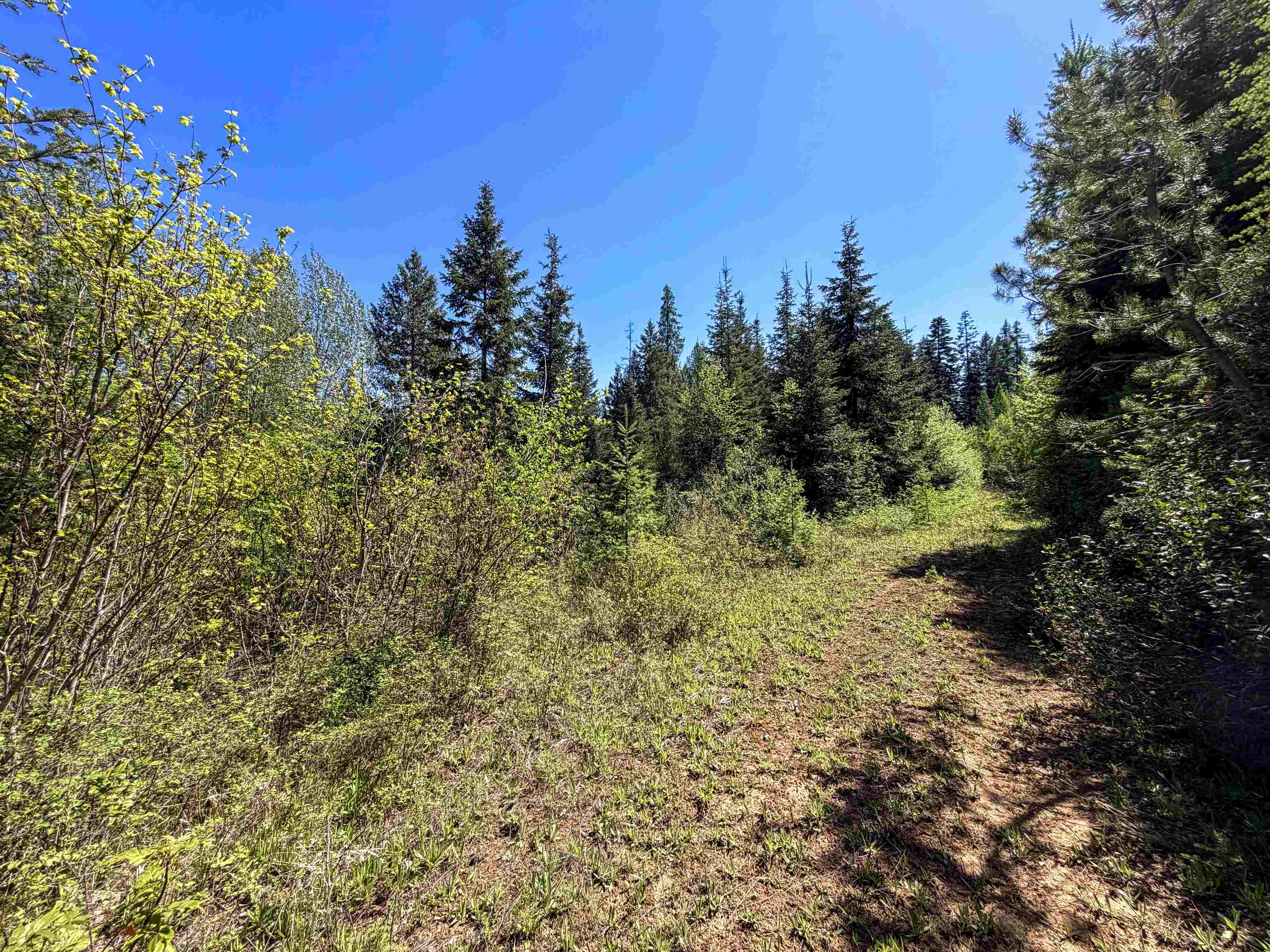 3499-tbd Waitts Lk S Road Valley, WA 99181 - Photo 13 of 32