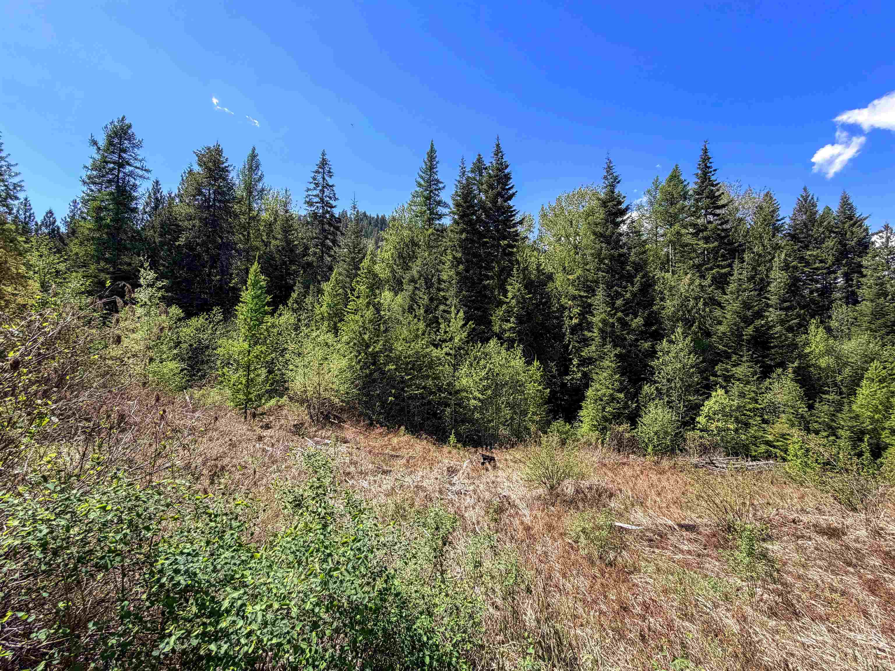 3499-tbd Waitts Lk S Road Valley, WA 99181 - Photo 20 of 32