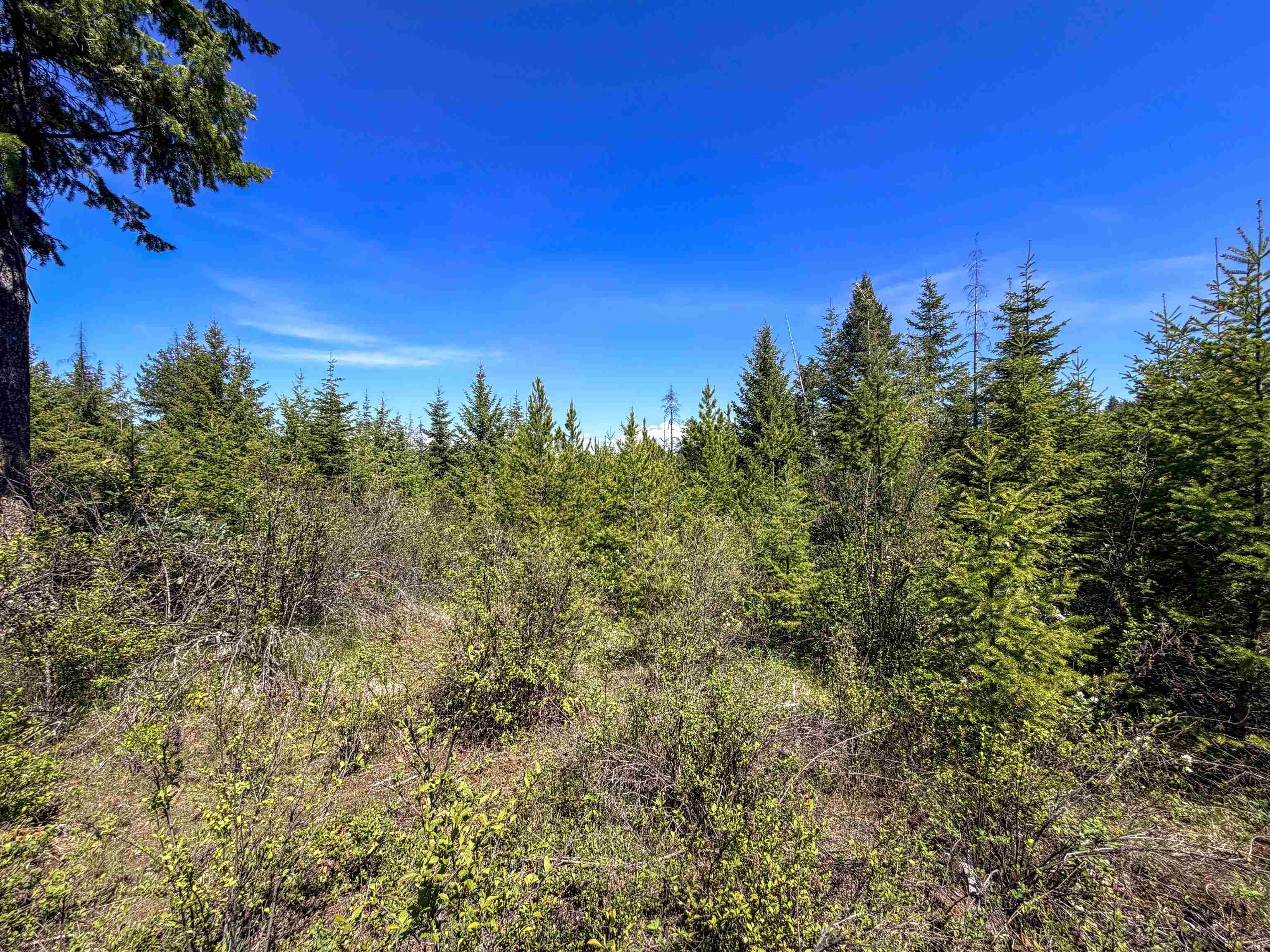 3499-tbd Waitts Lk S Road Valley, WA 99181 - Photo 23 of 32