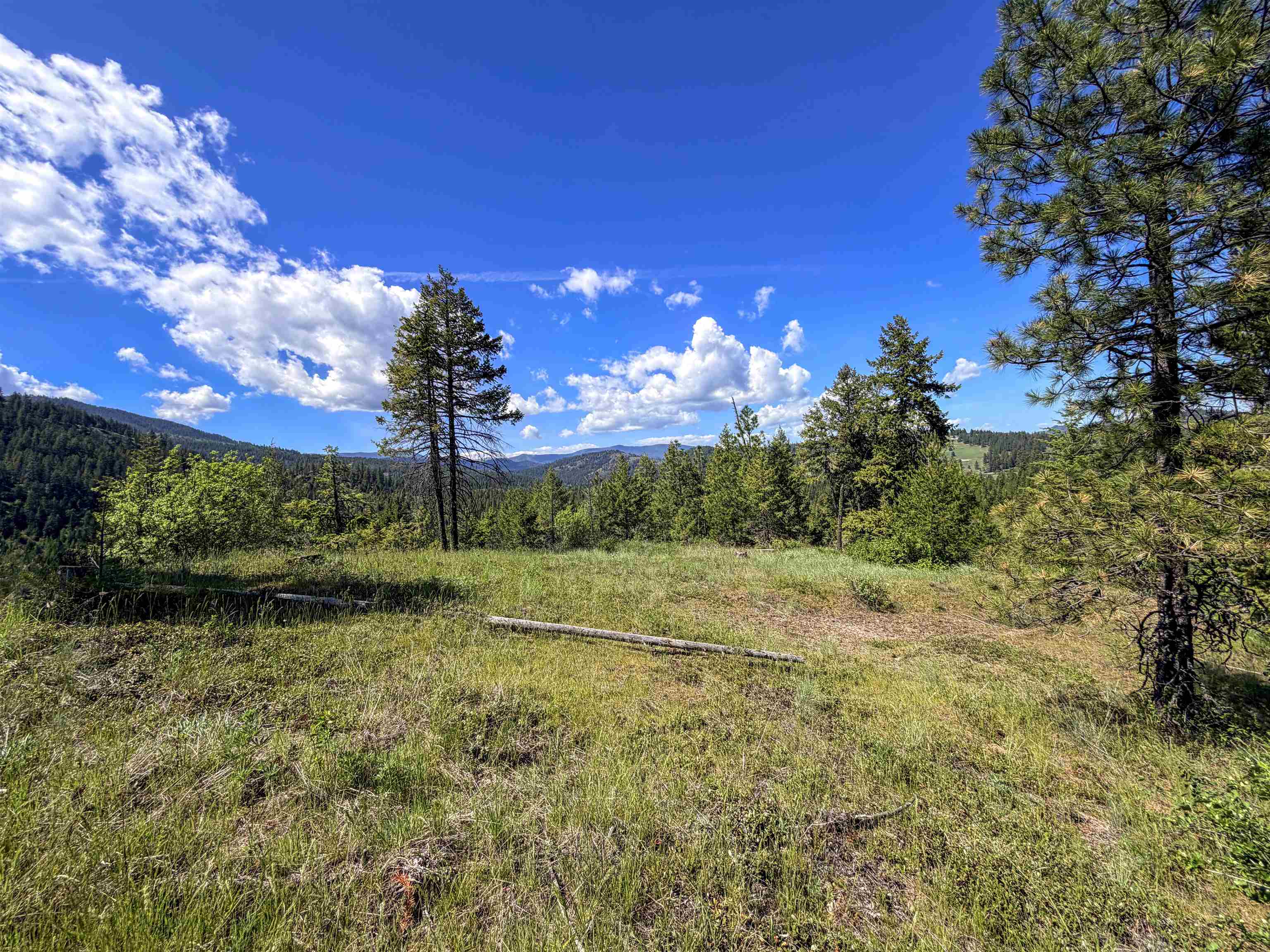 3499-tbd Waitts Lk S Road Valley, WA 99181 - Photo 24 of 32