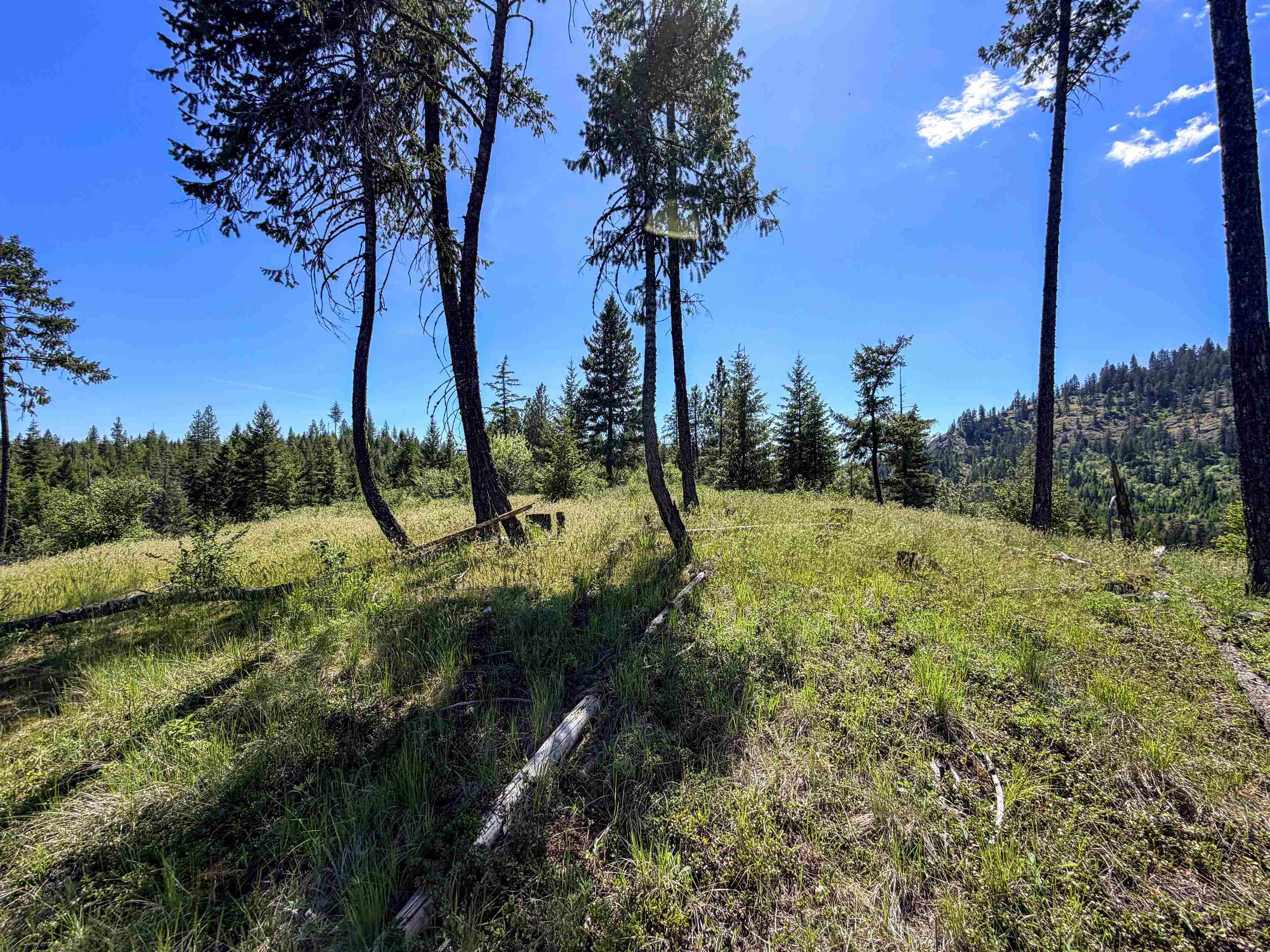 3499-tbd Waitts Lk S Road Valley, WA 99181 - Photo 25 of 32
