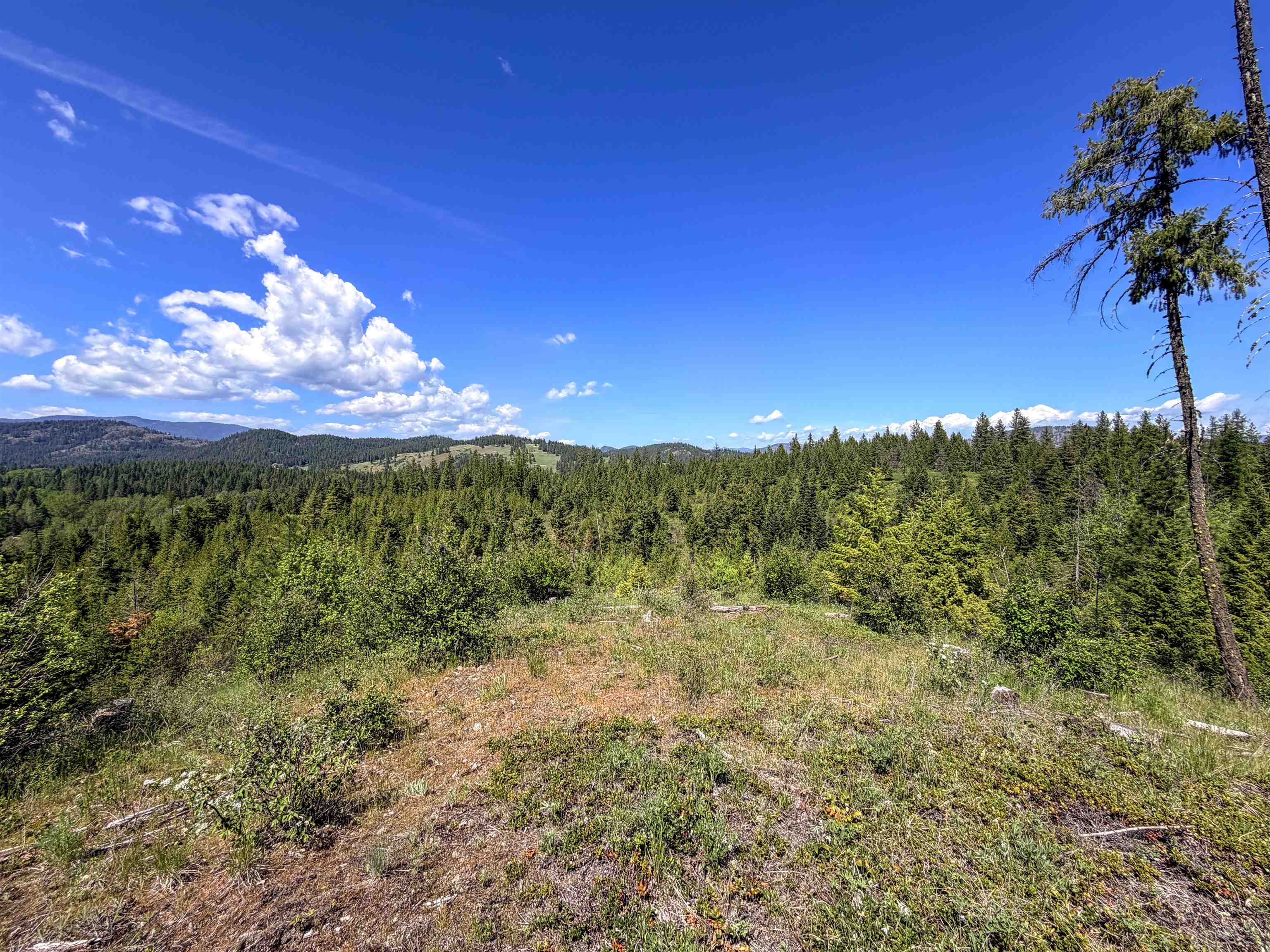3499-tbd Waitts Lk S Road Valley, WA 99181 - Photo 27 of 32