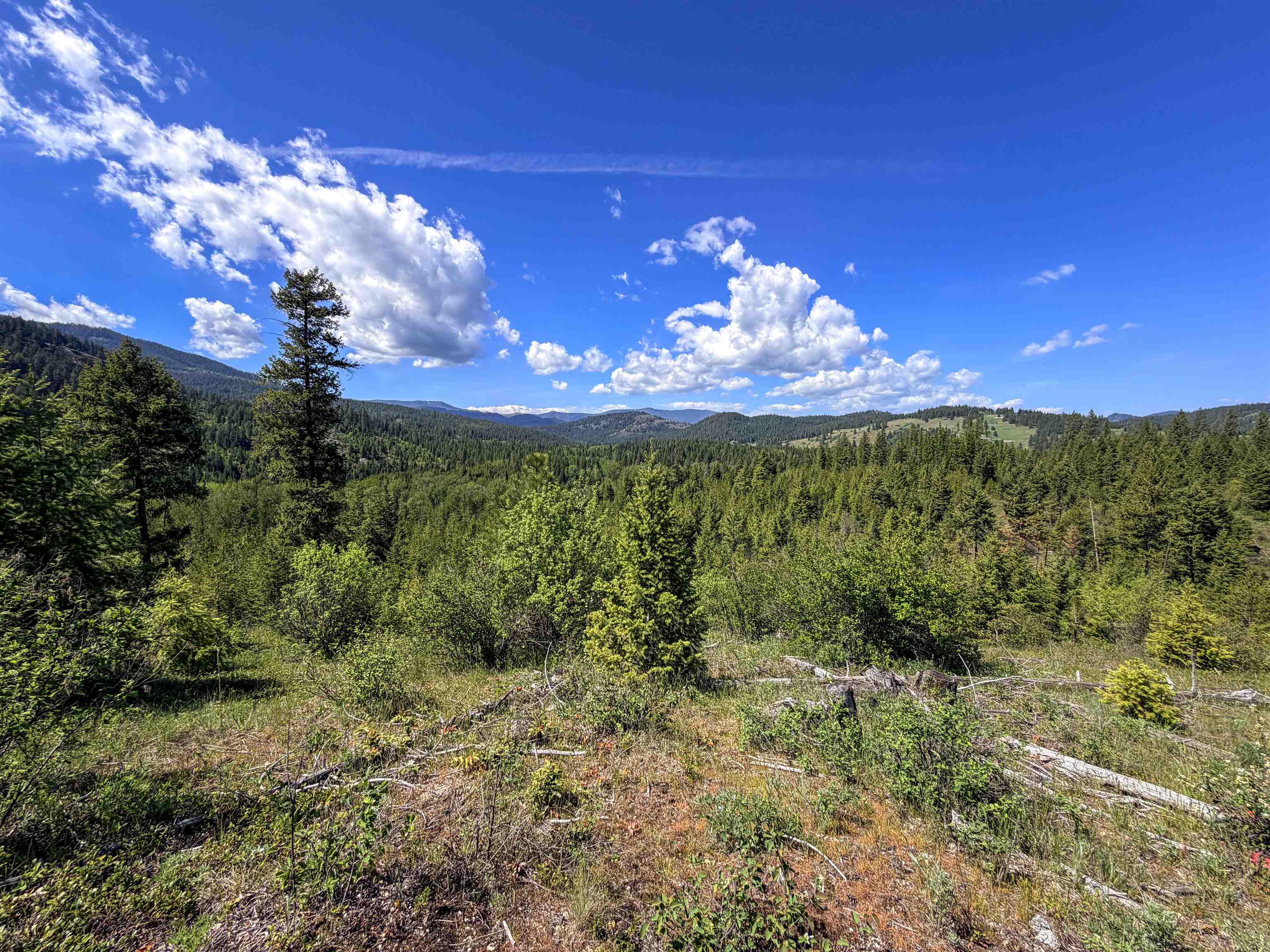 3499-tbd Waitts Lk S Road Valley, WA 99181 - Photo 28 of 32
