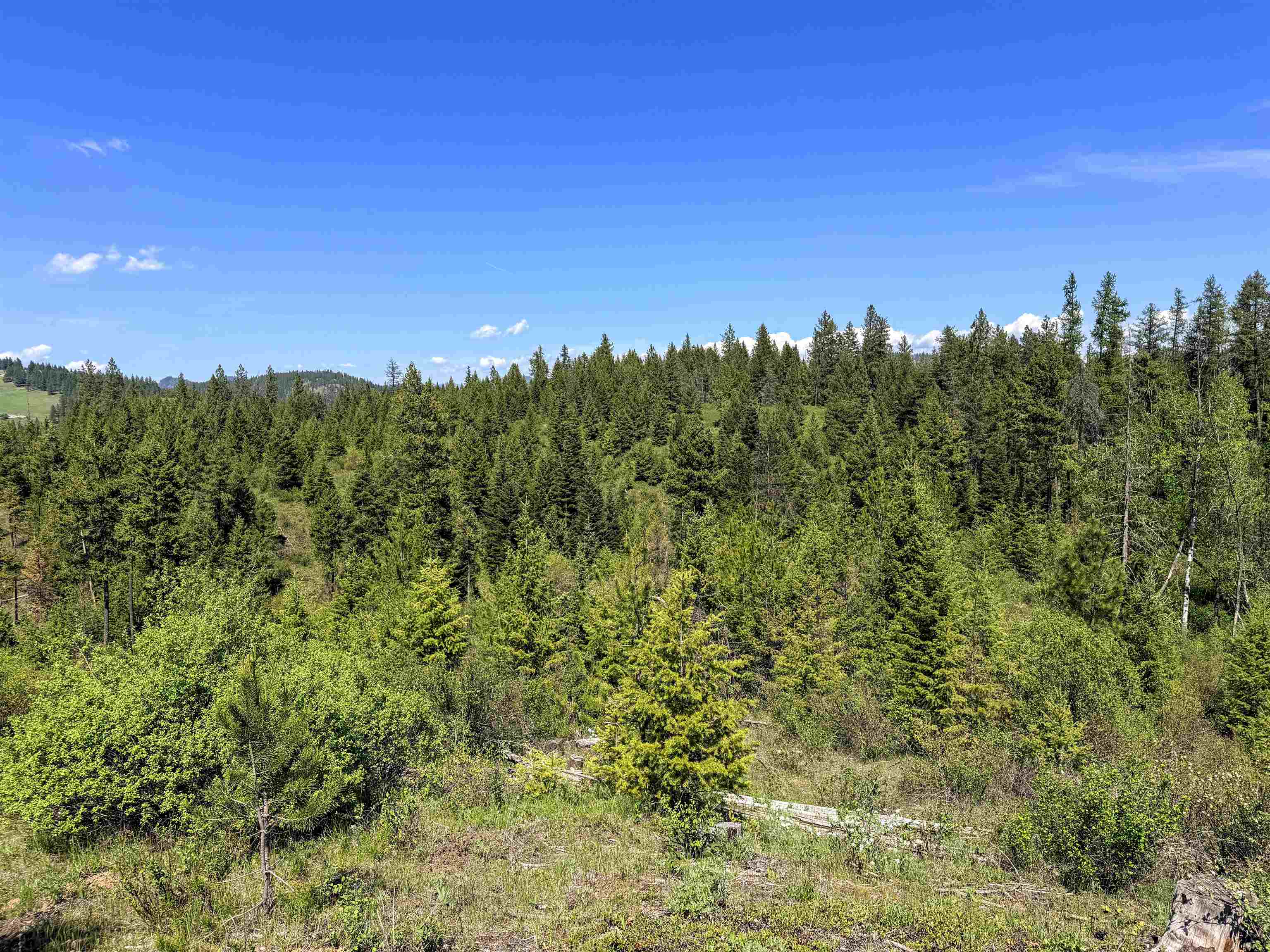 3499-tbd Waitts Lk S Road Valley, WA 99181 - Photo 29 of 32