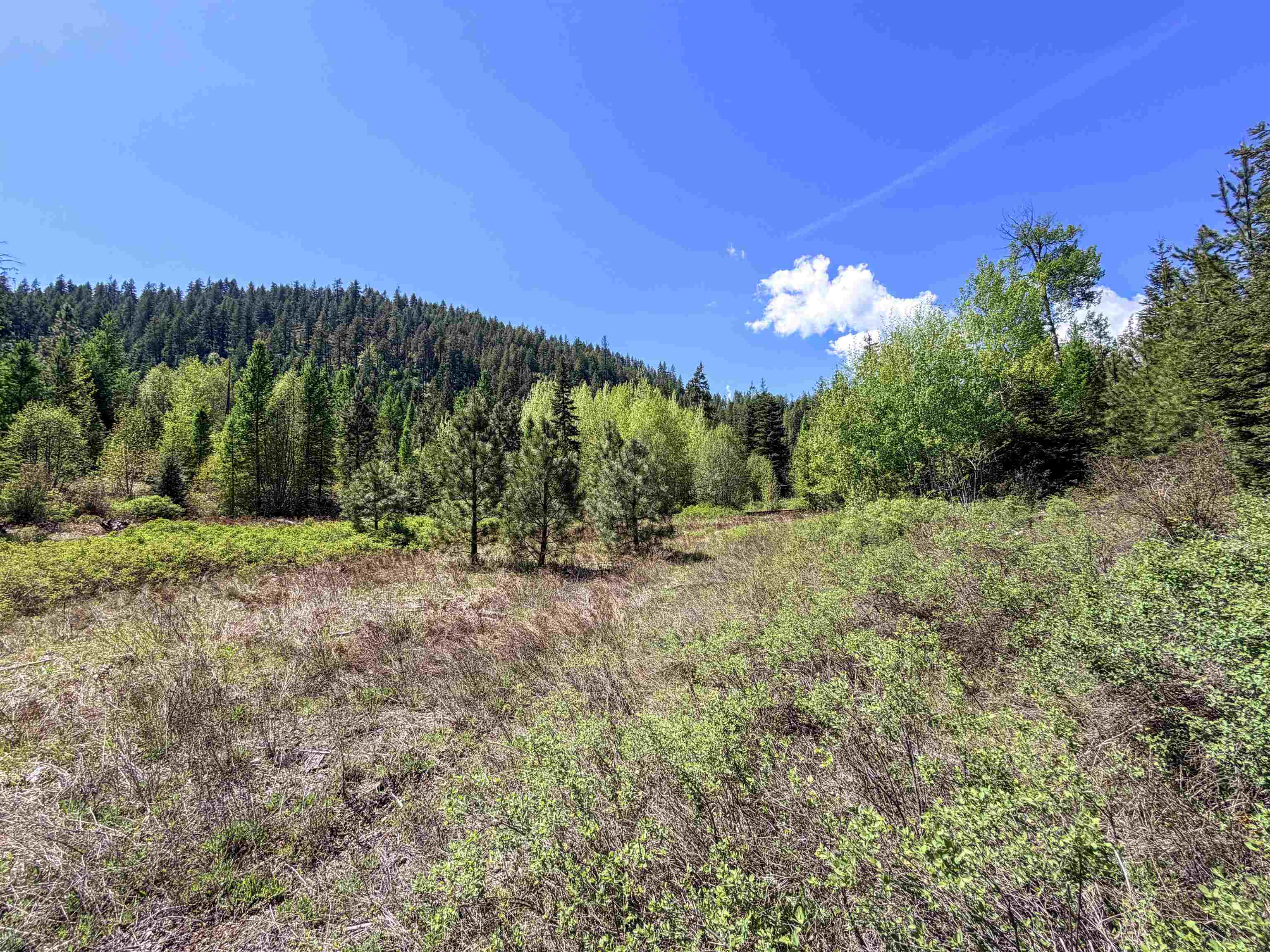 3499-tbd Waitts Lk S Road Valley, WA 99181 - Photo 3 of 32