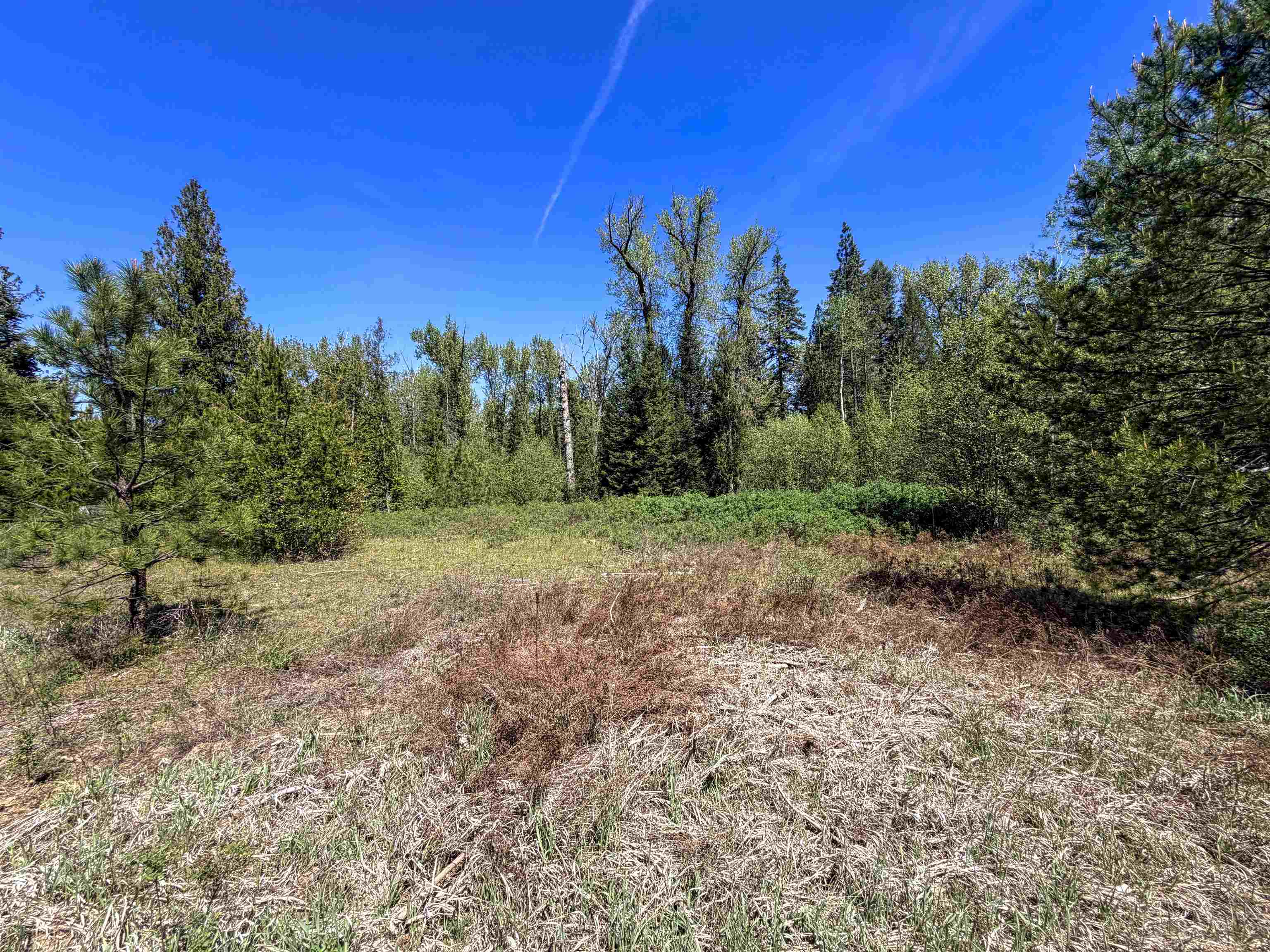 3499-tbd Waitts Lk S Road Valley, WA 99181 - Photo 10 of 32