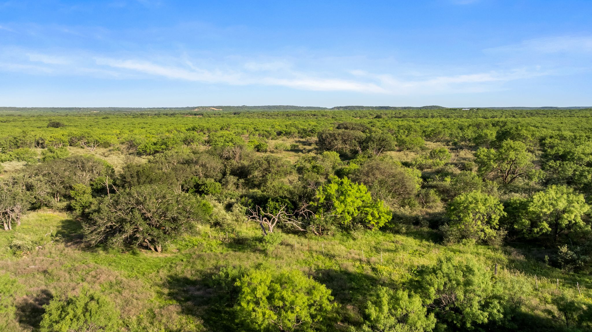 2186 FM 1028 Rochelle, TX 76872 - Photo 7 of 19 View of woods