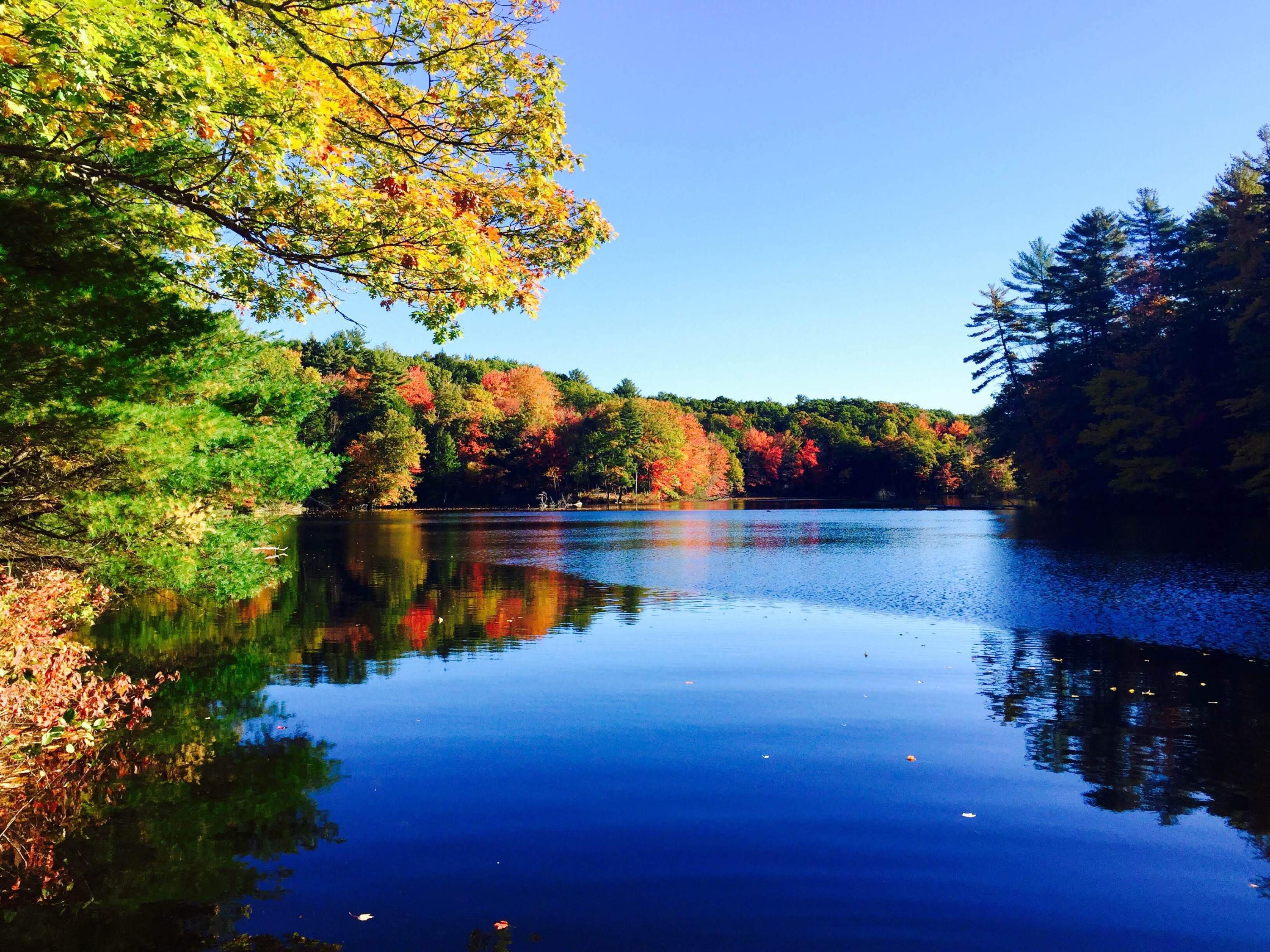 78 Old Falls Pond Road Alfred, ME 04002 - Photo 30 of 34 Pond in Fall