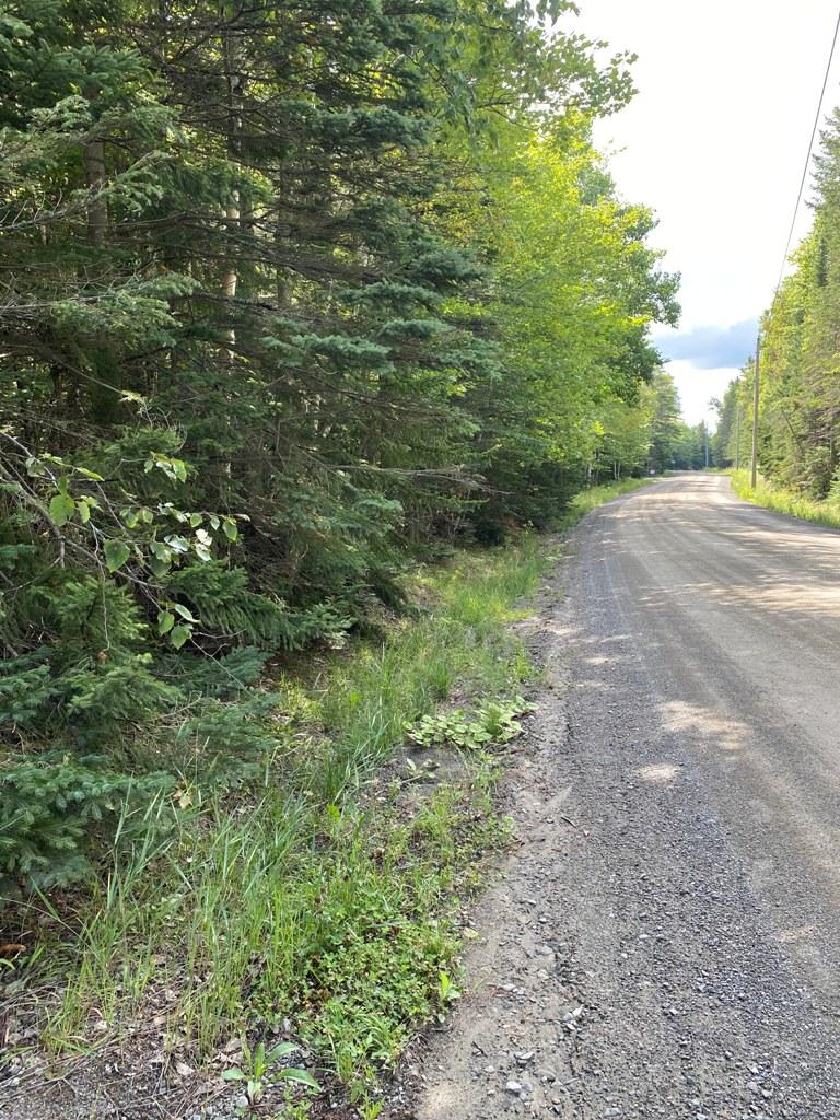 Lot 3 East Road Greenville, ME 04441 - Photo 2 of 7 IMG_3107