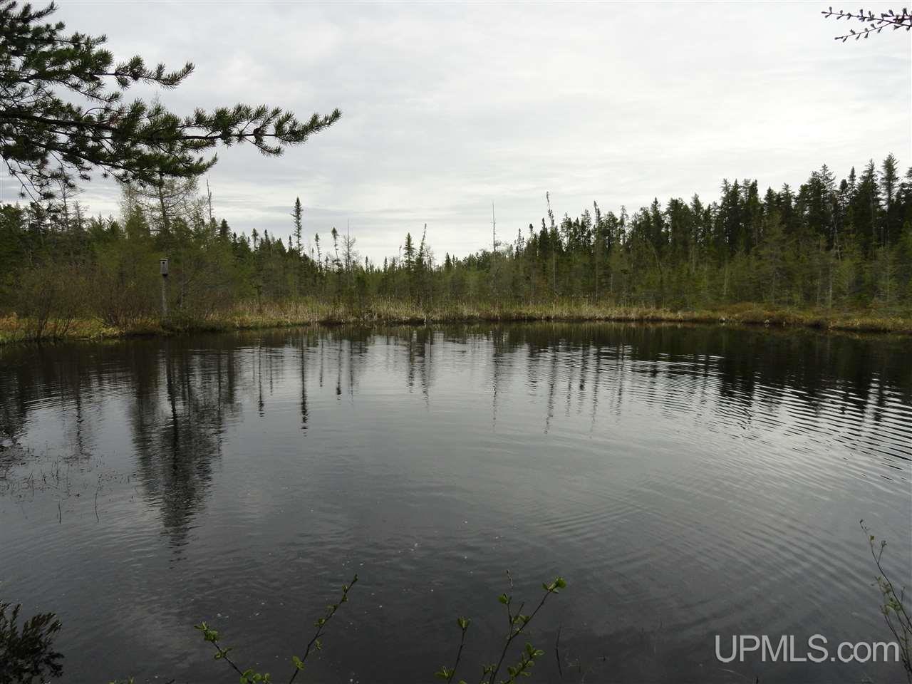 39-acres 39-acres Co Road Ishpeming, MI 49849 - Photo 10 of 39
