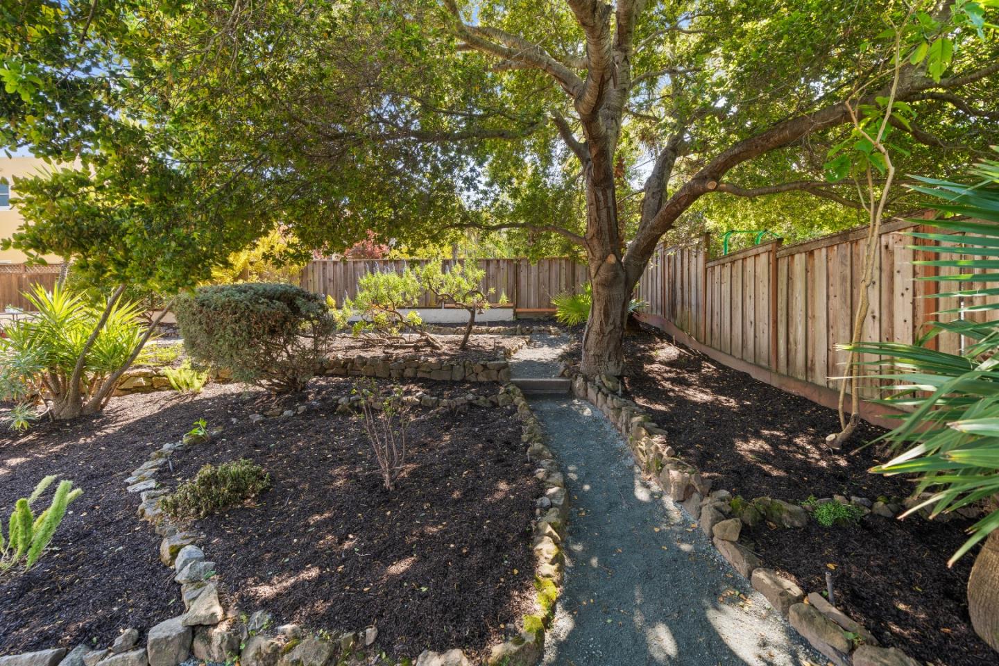 331 Elder Avenue Millbrae, CA 94030 - Photo 41 of 53 a view of backyard with tree