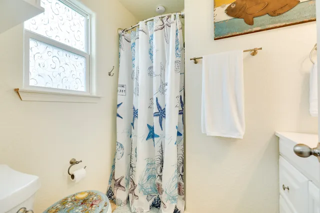 a bathroom with a shower curtain and a window