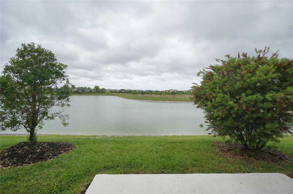 2407 Paravane Way Wesley Chapel, FL 33543 - Photo 24 of 35