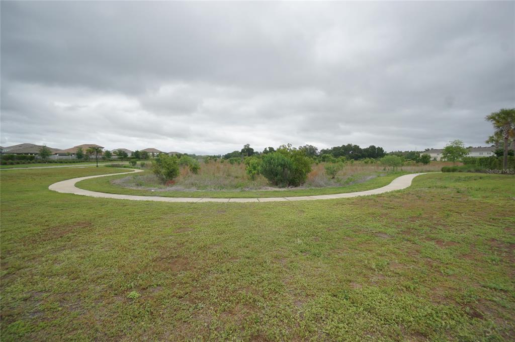 2407 Paravane Way Wesley Chapel, FL 33543 - Photo 35 of 35