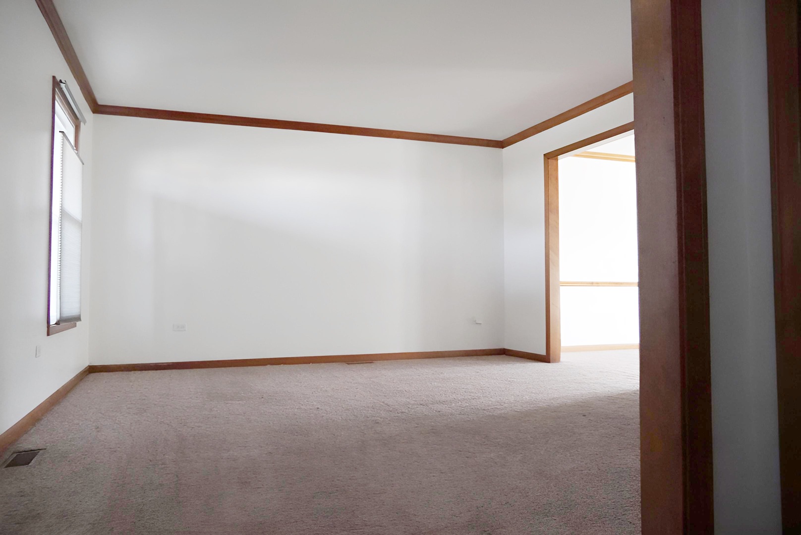 1707 Chestnut Hill Road Plainfield, IL 60586 - Photo 4 of 34