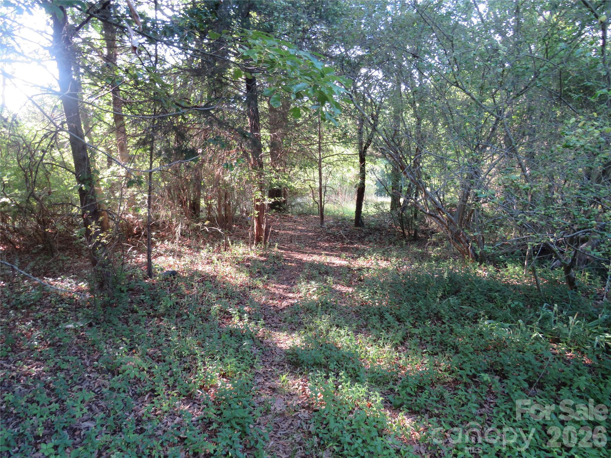 262 Flat Rock Road Forest City, NC 28043 - Photo 29 of 41