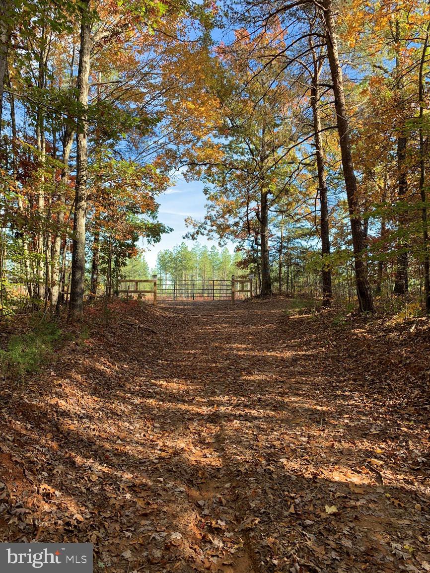 a view of backyard with green space