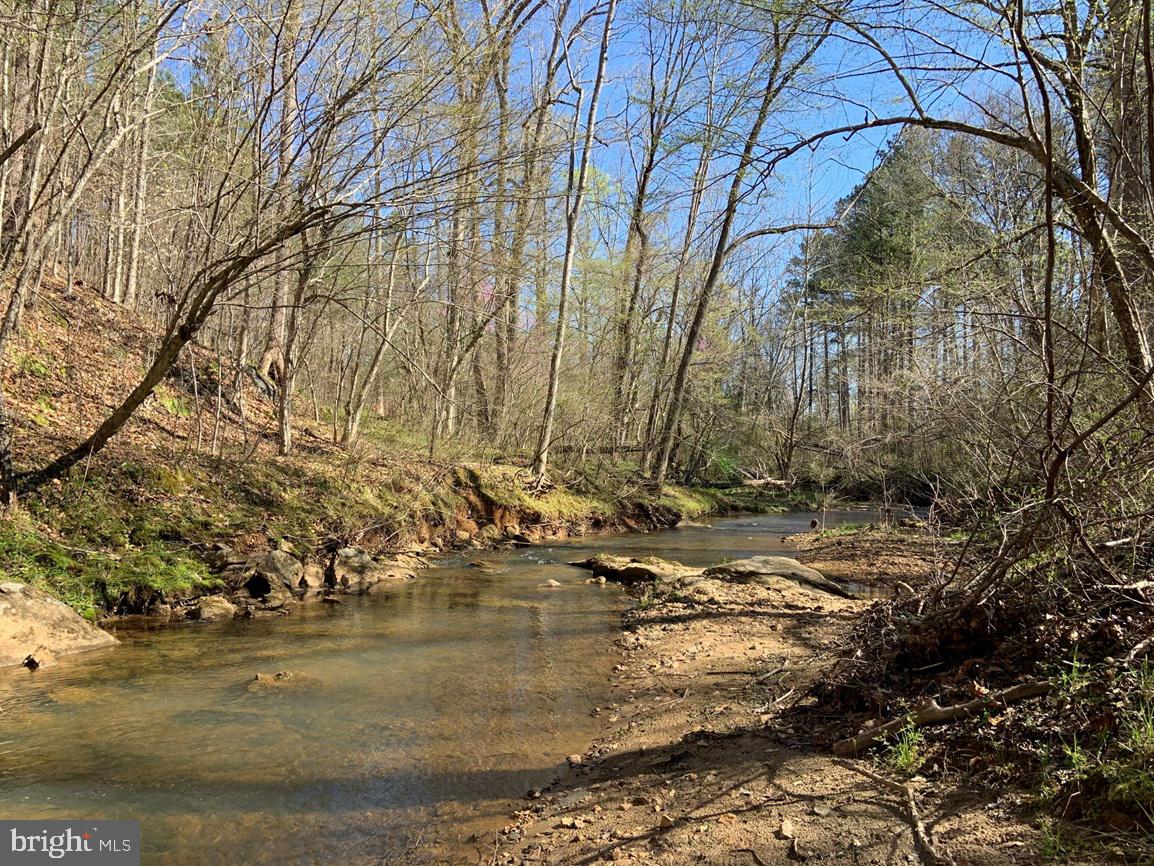 Watt Abbitt Road Appomattox, VA 24522 - Photo 15 of 35