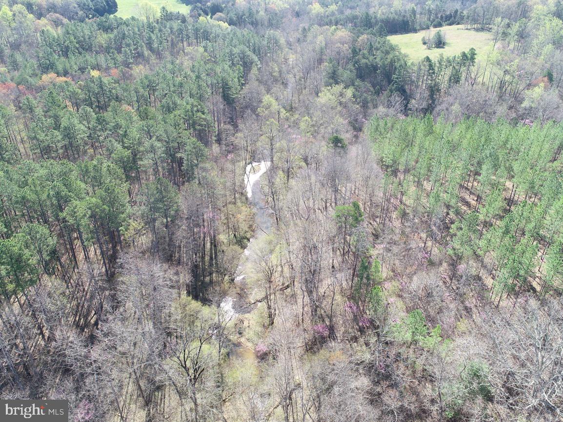 Watt Abbitt Road Appomattox, VA 24522 - Photo 19 of 35 a view of a forest with a dry yard