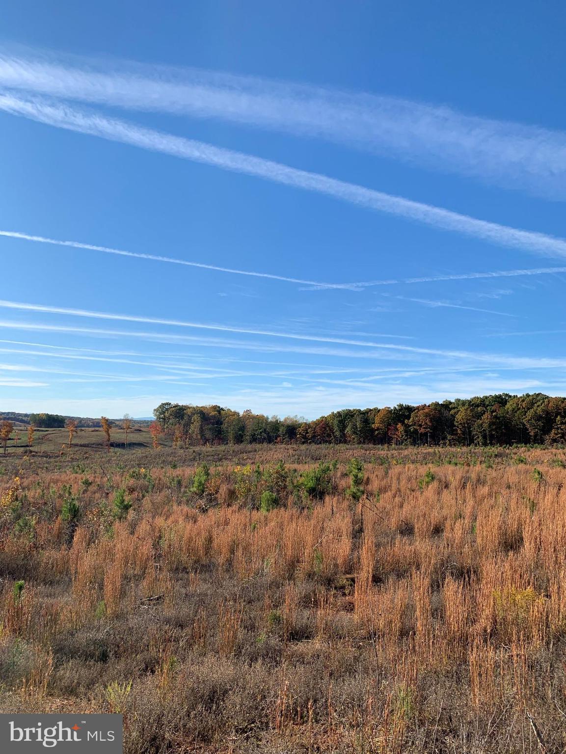 Watt Abbitt Road Appomattox, VA 24522 - Photo 25 of 35 a view of ocean and green space