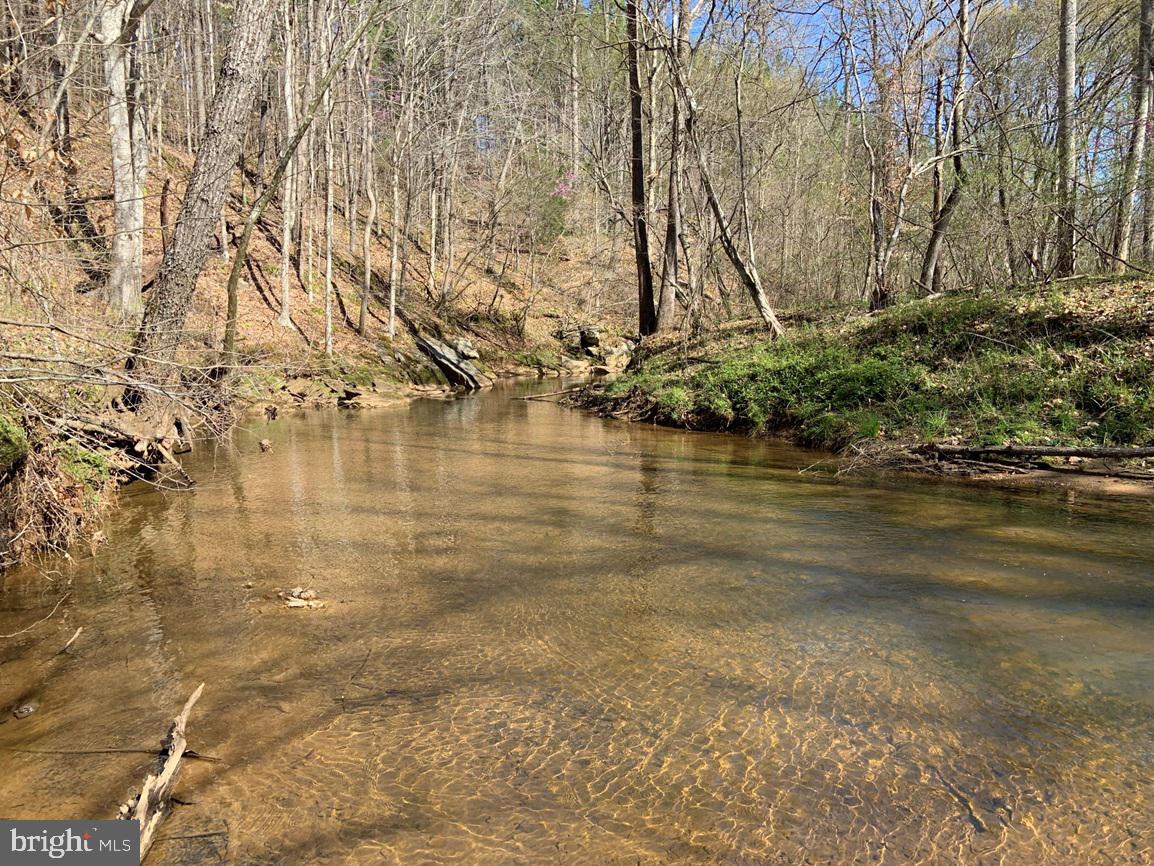 Watt Abbitt Road Appomattox, VA 24522 - Photo 6 of 35 a view of a lake