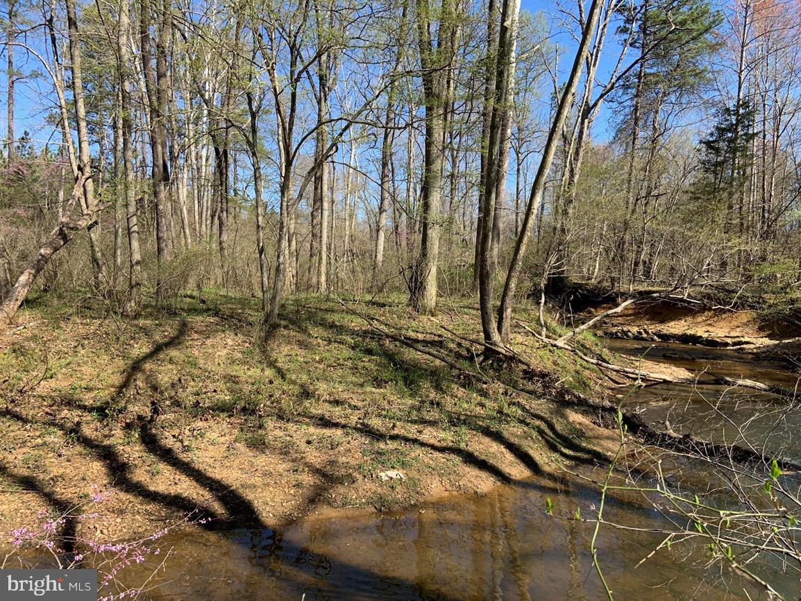 Watt Abbitt Road Appomattox, VA 24522 - Photo 7 of 35 a view of backyard of green space