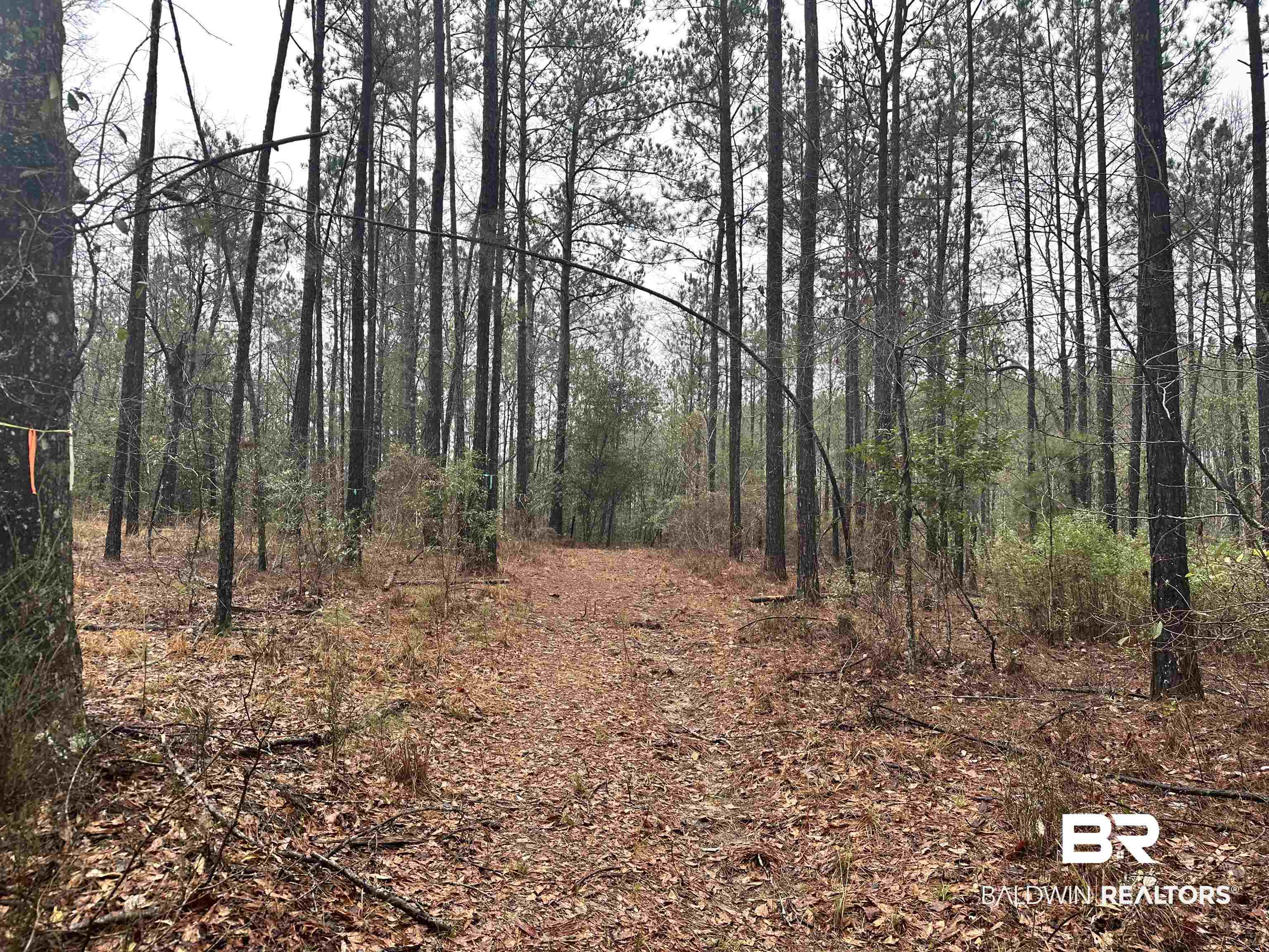 4549 J D Howard Road Tibbie, AL 36583 - Photo 21 of 33