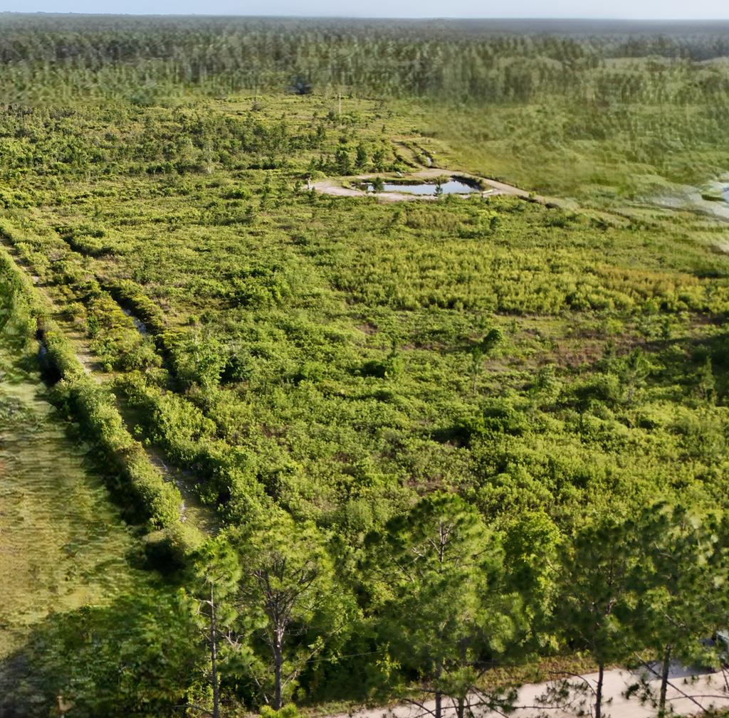 570 Clark's Landing Road Carrabelle, FL 32322 - Photo 4 of 18