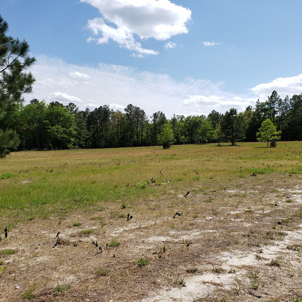 Lot 15 Dairy Road Monetta, SC 29105 - Photo 6 of 10