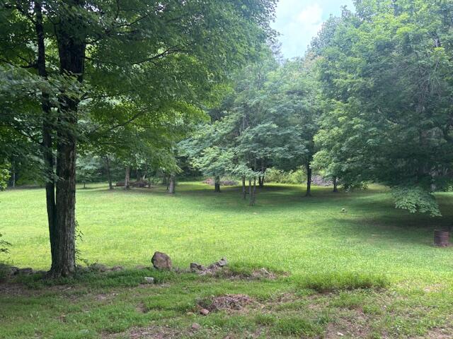 331 Briley Road Spring City, TN 37381 - Photo 10 of 32 IMG_0870