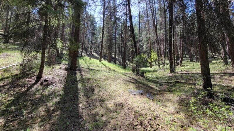 1315 Lofton Creek Road Prineville, OR 97754 - Photo 58 of 61 image000006 (4)