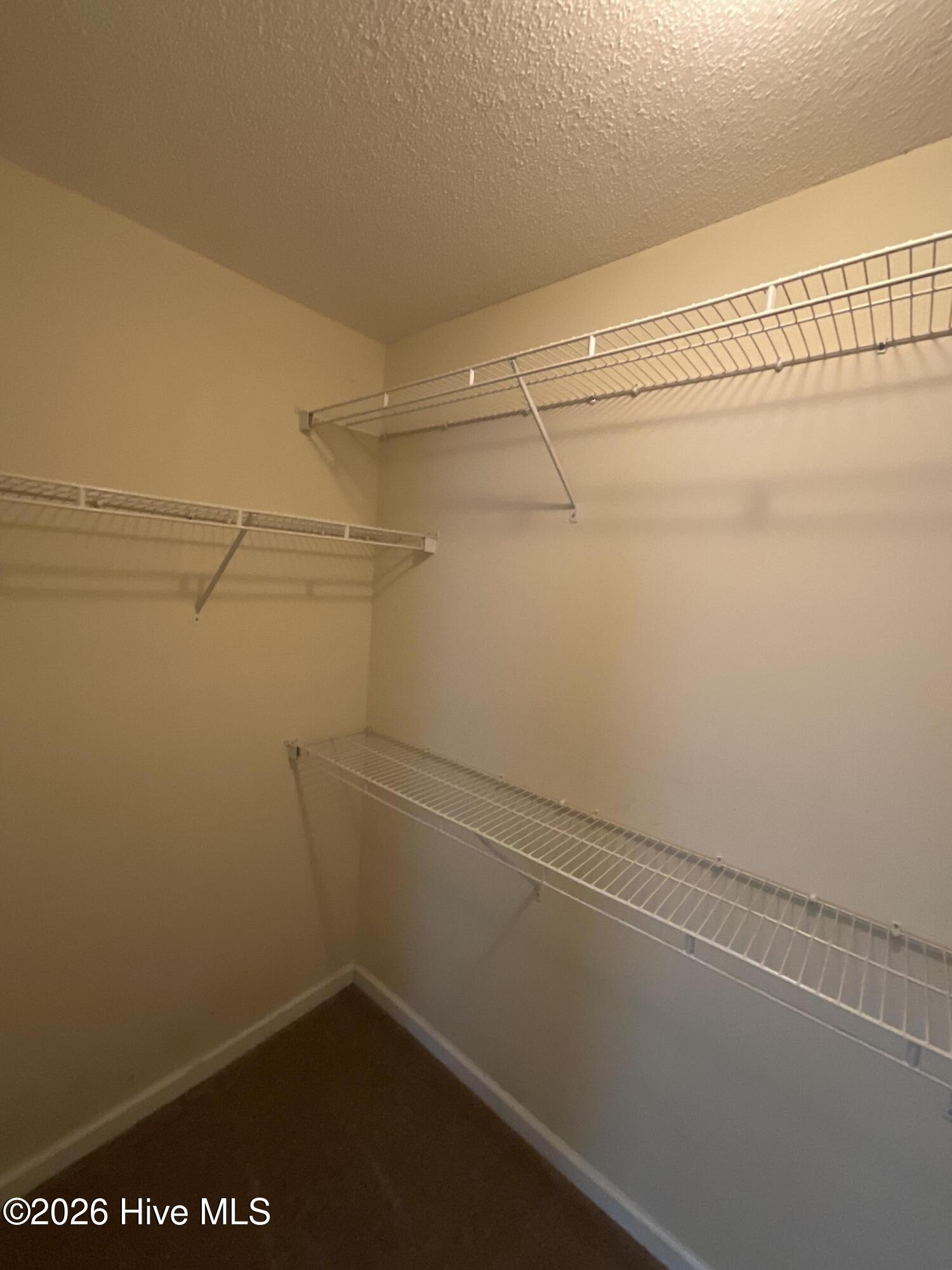 567 Cranberry Circle Grovetown, GA 30813 - Photo 18 of 20 Primary Bedroom Closet