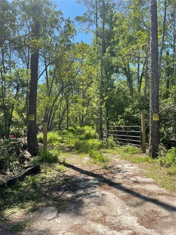 a view of backyard with green space