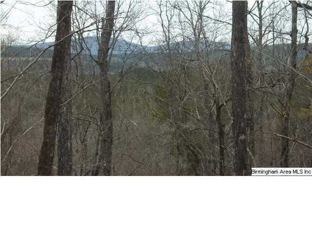 7 County Road, Unit 76 Talladega, AL 35160 - Photo 5 of 13
