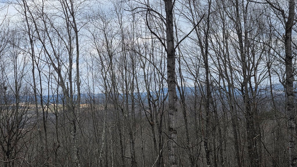 35-ac Ducks Nest Road Turtletown, TN 37391 - Photo 20 of 29