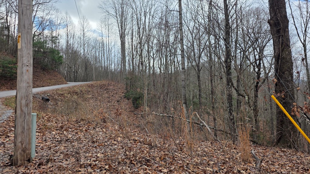 35-ac Ducks Nest Road Turtletown, TN 37391 - Photo 2 of 29 a view of a yard