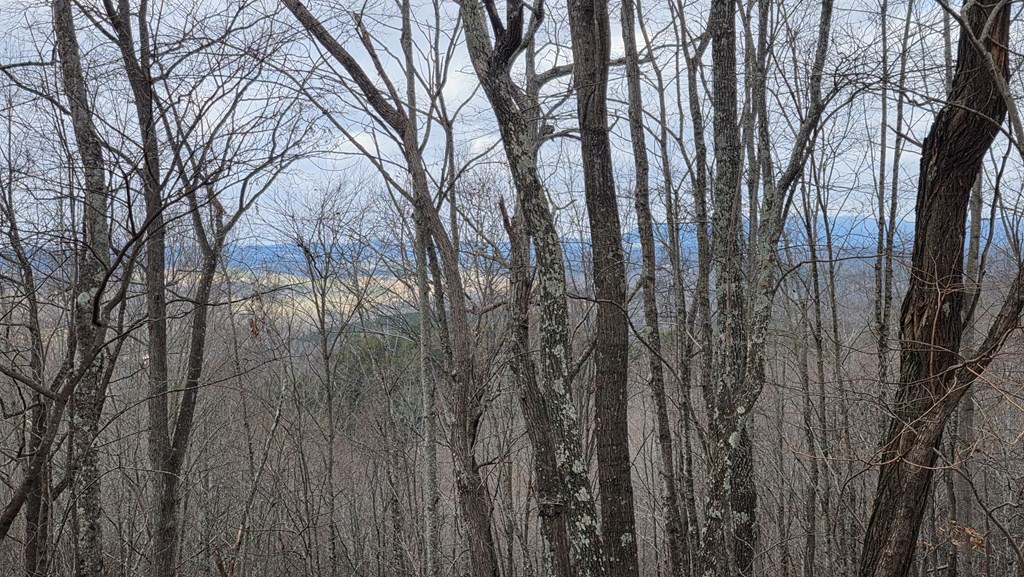 35-ac Ducks Nest Road Turtletown, TN 37391 - Photo 21 of 29