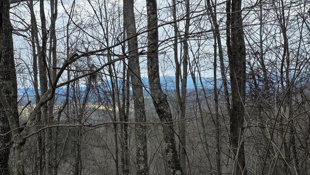 35-ac Ducks Nest Road Turtletown, TN 37391 - Photo 23 of 29 a view of outdoor space with street view