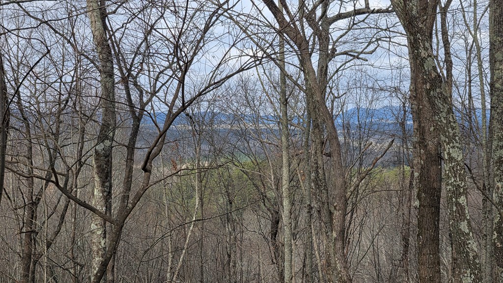 35-ac Ducks Nest Road Turtletown, TN 37391 - Photo 25 of 29 a backyard of a house with lots of trees