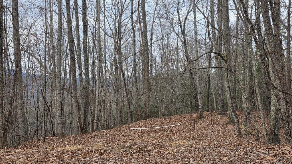 35-ac Ducks Nest Road Turtletown, TN 37391 - Photo 28 of 29 a backyard of a house with lots of green space