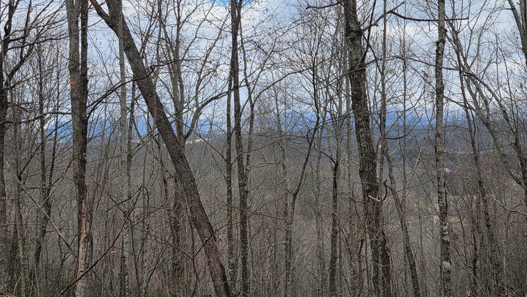 35-ac Ducks Nest Road Turtletown, TN 37391 - Photo 29 of 29