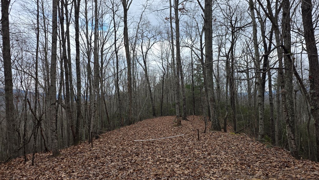 35-ac Ducks Nest Road Turtletown, TN 37391 - Photo 4 of 29 a backyard of a house with lots of green space
