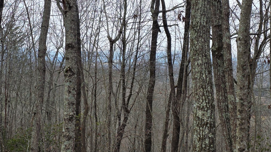 35-ac Ducks Nest Road Turtletown, TN 37391 - Photo 5 of 29