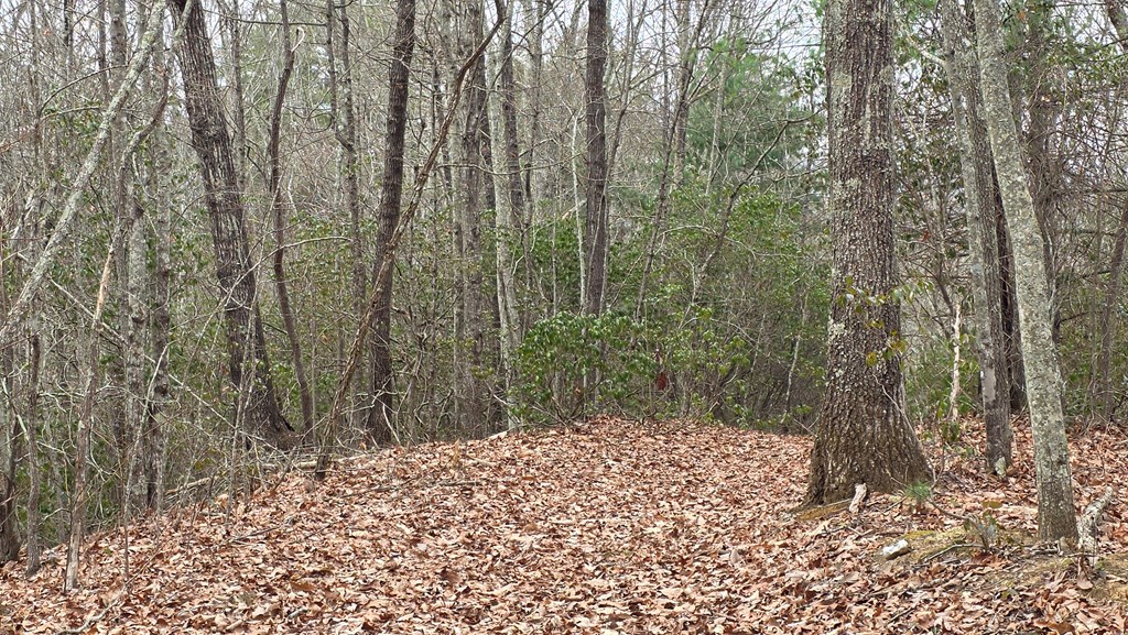 35-ac Ducks Nest Road Turtletown, TN 37391 - Photo 7 of 29