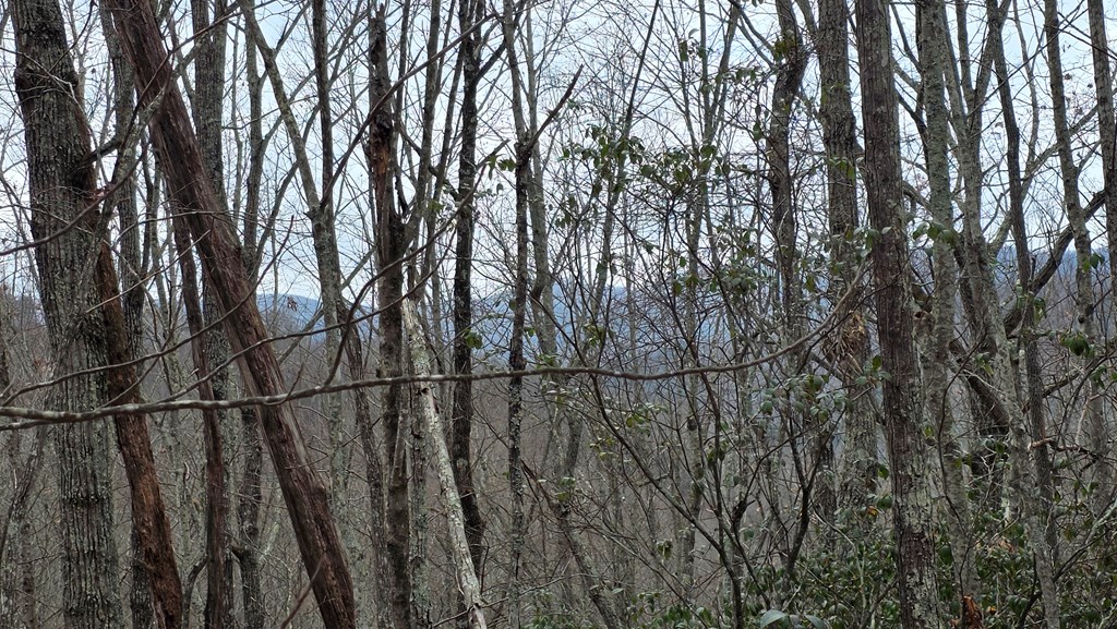 35-ac Ducks Nest Road Turtletown, TN 37391 - Photo 10 of 29 a view of iron fence