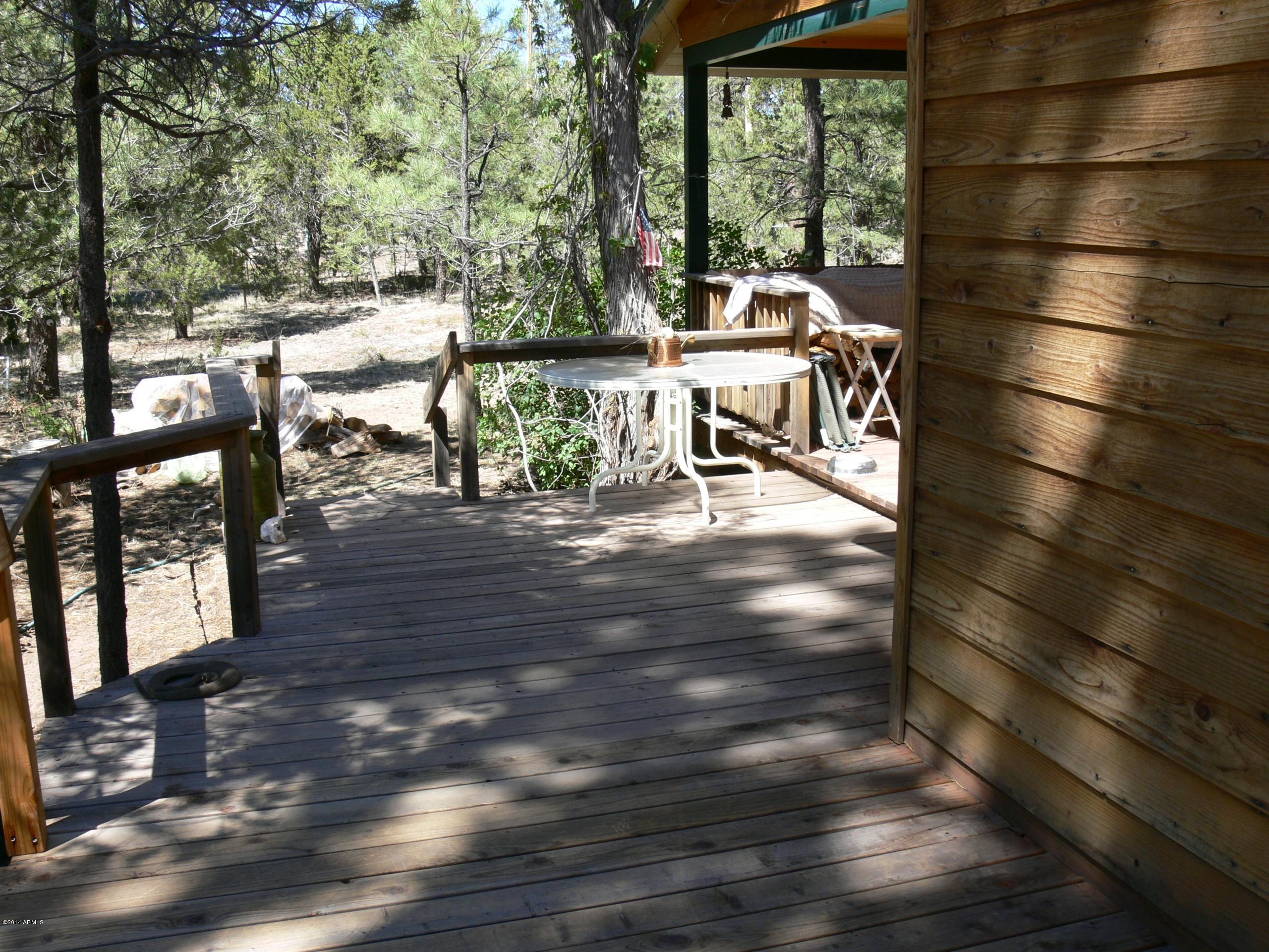 2085 Chevelon Road Overgaard, AZ 85933 - Photo 15 of 29 P1050702