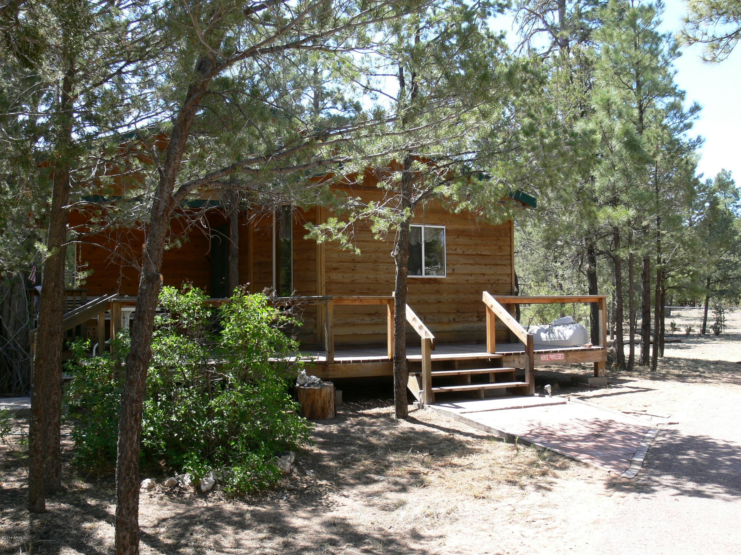 2085 Chevelon Road Overgaard, AZ 85933 - Photo 27 of 29 P1050722