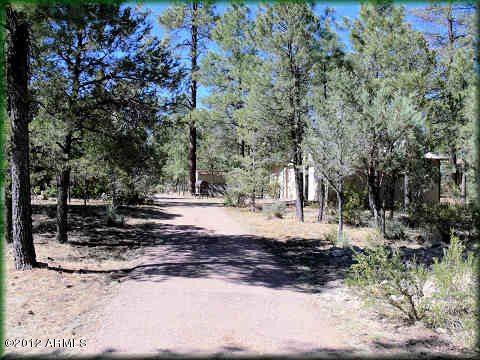 2085 Chevelon Road Overgaard, AZ 85933 - Photo 3 of 29 Driveway